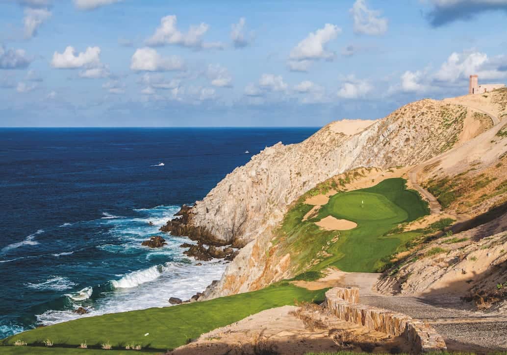 6backtee-quivira