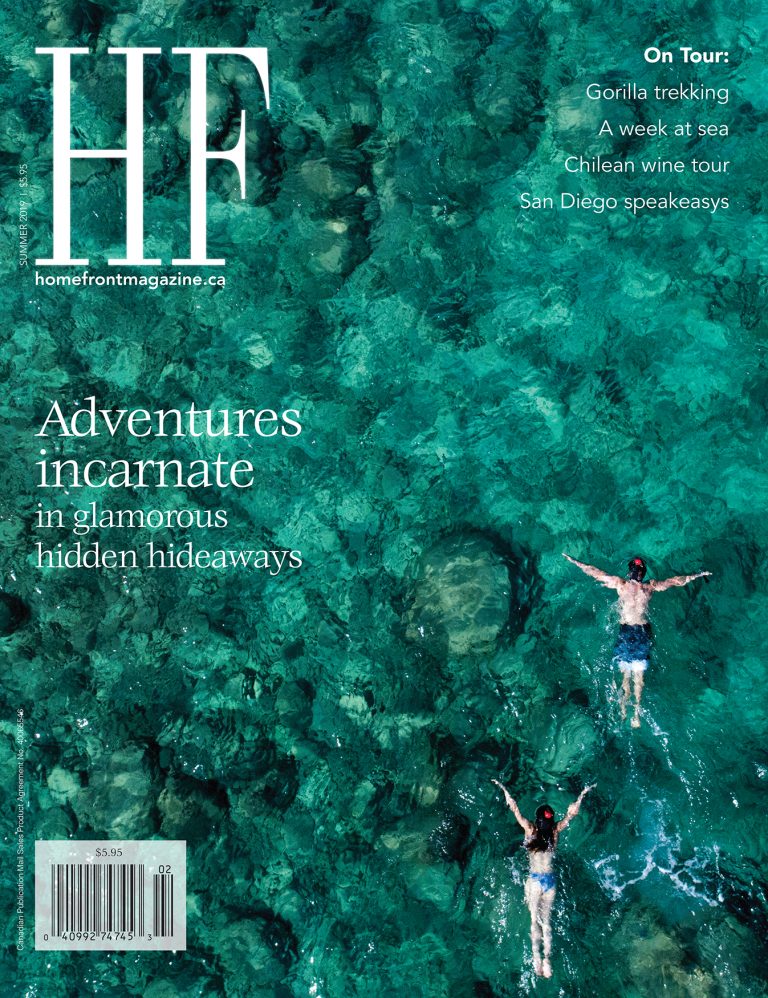 Read more about the article Summer 2019